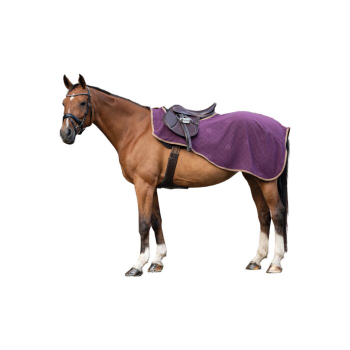 HKM Exercise Rug - Arctic Bay